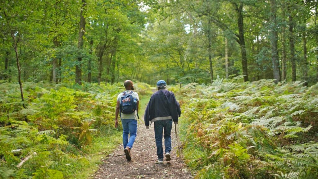 Forest bathing in Forest of Dean