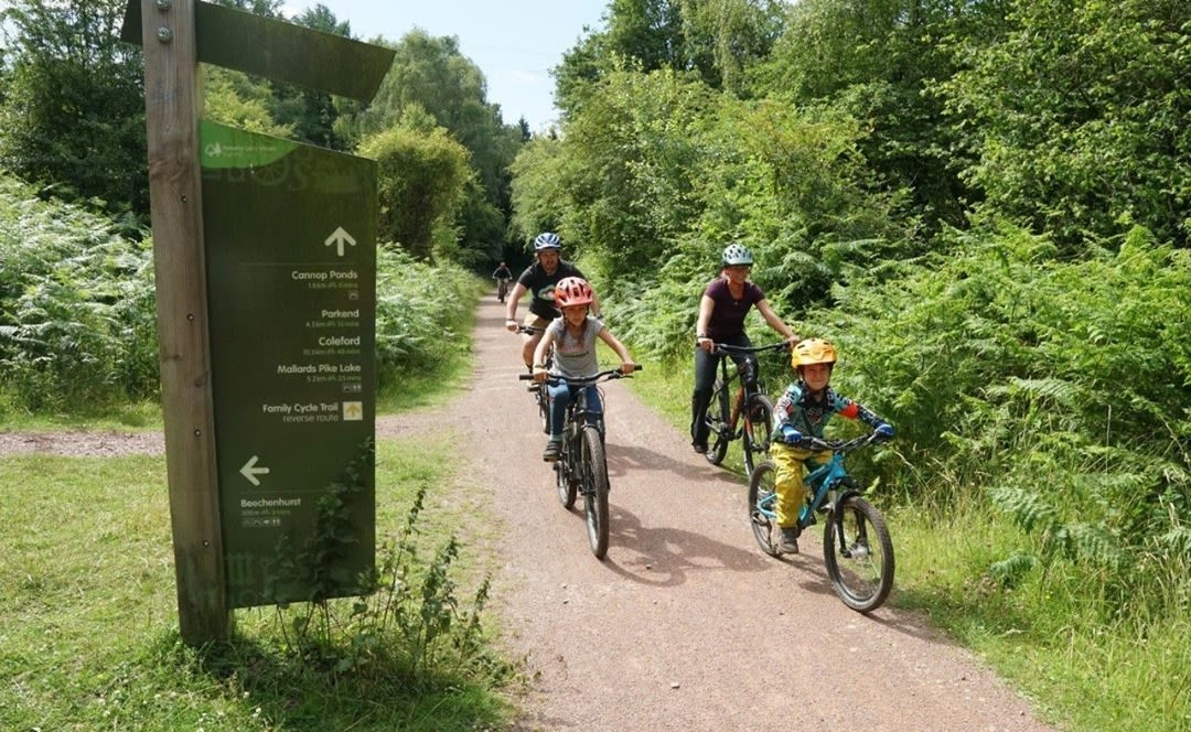 Kids mountain biking in Forest of Dean