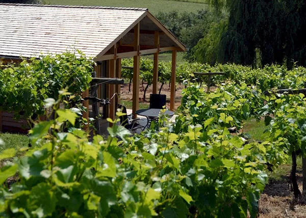 Three Choirs Vineyard