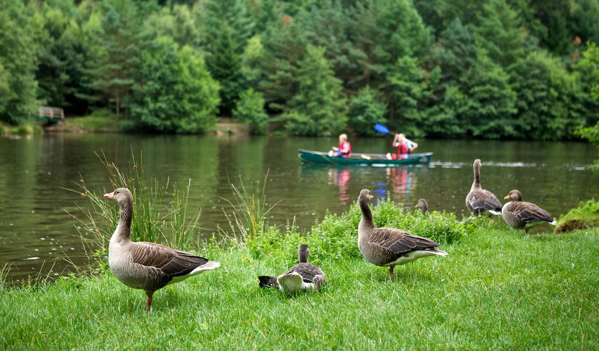 Children canoeing in Mallards Pike Lake