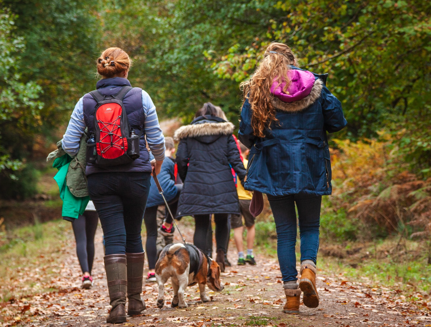  The Cyril Hart Arboretum is pet friendly