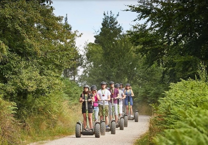 Forest Segway