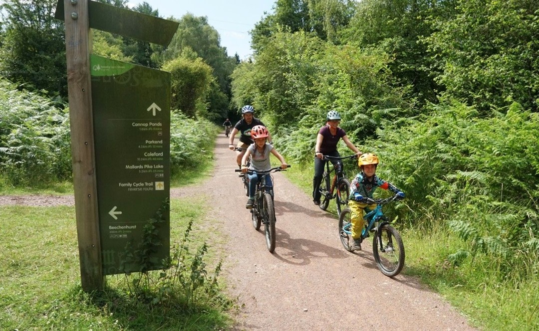 Mountain Biking at Forest of Dean